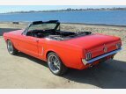 Thumbnail Photo 68 for New 1964 Ford Mustang